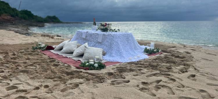 Wabi-Sabi 别墅(Wabi-Sabi Villa)图片