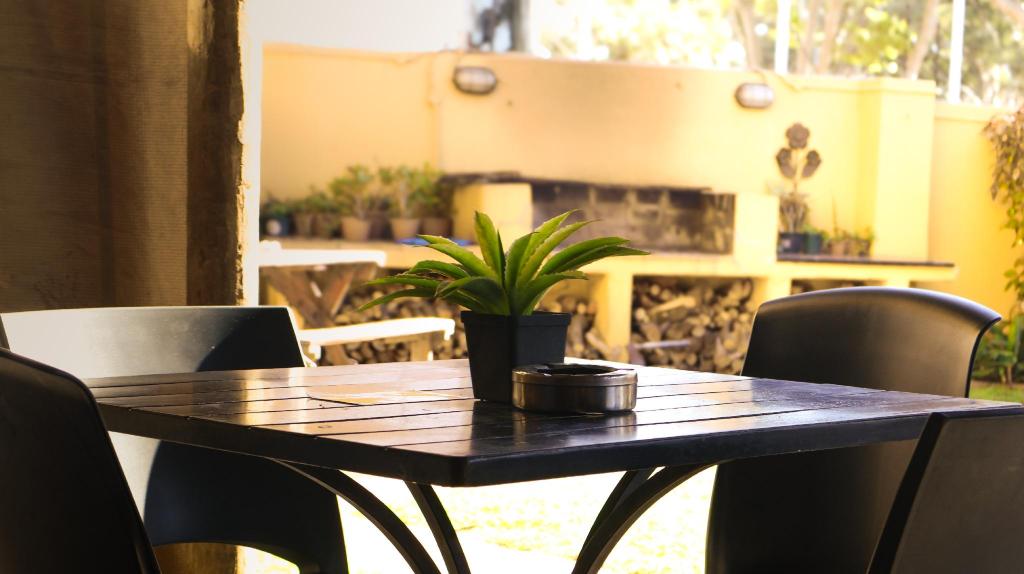 A Sunflower Stop Backpackers Over view