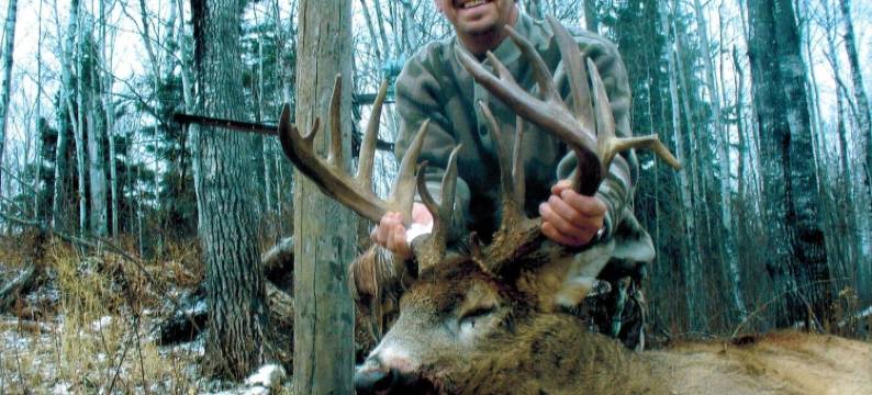 霍克洛克荒野冒险酒店(Hawkrock Wilderness Adventures)图片