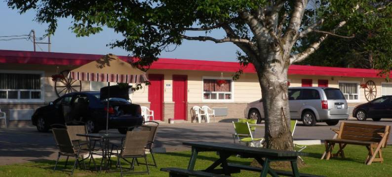 银桦树汽车旅馆(The Silver Birch Motel)图片