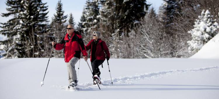 瑞吉卡尔巴德瑞士品质酒店(Rigi Kaltbad Swiss Quality Hotel)图片