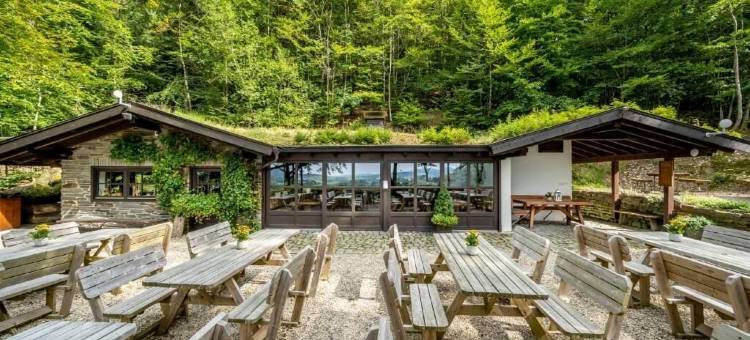 戴曼酒店(Hotel Deimann)图片