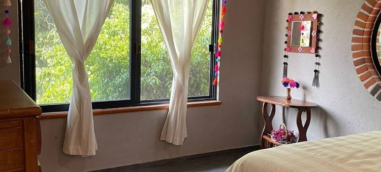 祖父母的家(La Casa de Los Abuelos)图片