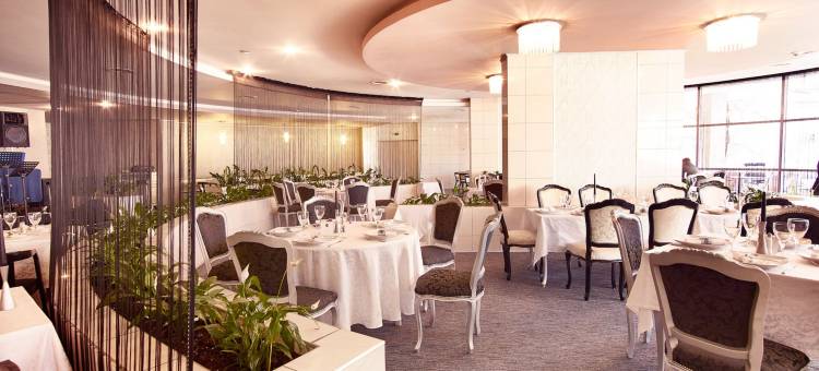 阿拉德大陆酒店(Continental Forum Arad)图片