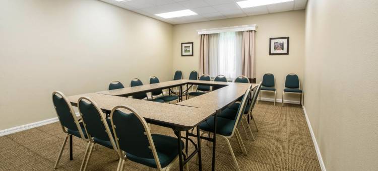 舒适套房酒店-近迪兰大学(Comfort Inn & Suites DeLand - Near University)图片