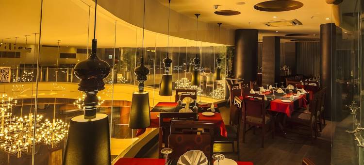 灶神星国际酒店(Vesta International)图片