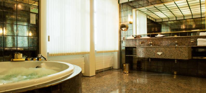 洛桑宫殿酒店(Lausanne Palace)图片