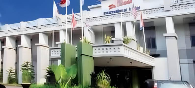 帕尔代德国际酒店(Pardede International Hotel)图片