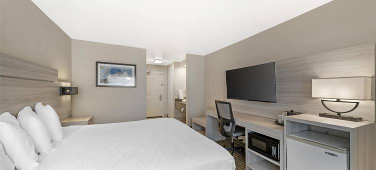 双景贝斯特韦斯特优质套房酒店(Best Western Plus Twin View Inn  Suites)图片