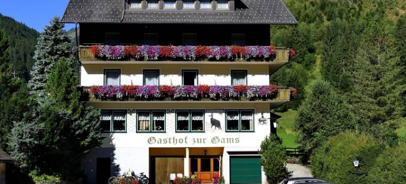 苏加姆斯酒店(Gasthof Zur Gams)图片