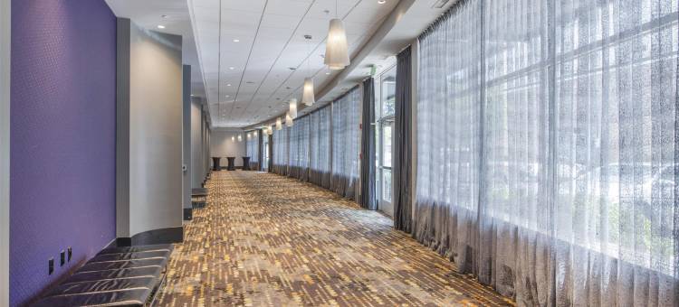 罗利-达勒姆机场-布赖尔溪欢朋套房酒店(Hampton Inn & Suites Raleigh-Durham Airport-Brier Creek)图片