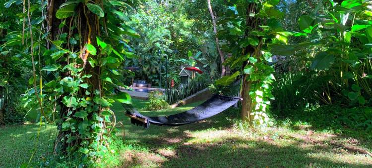 麒麟星度假村(Monoceros Resort)图片