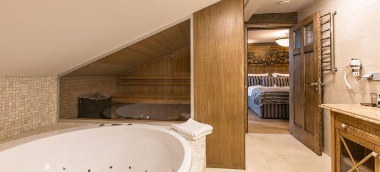 欧洲之星大都会酒店(Eurostars Metropole)图片