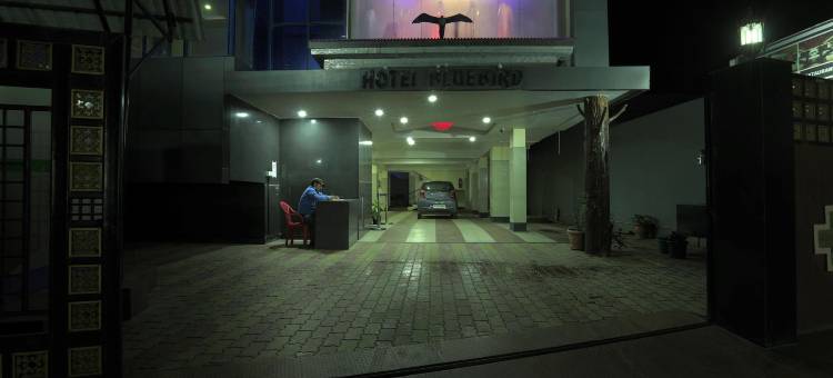 蓝鸟酒店(Hotel Blue Bird)图片
