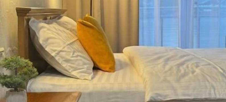 露西之星酒店(Hotel Lucy Star)图片