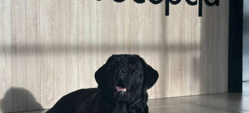 扎托卡酒店(Hotel Zatoka)图片