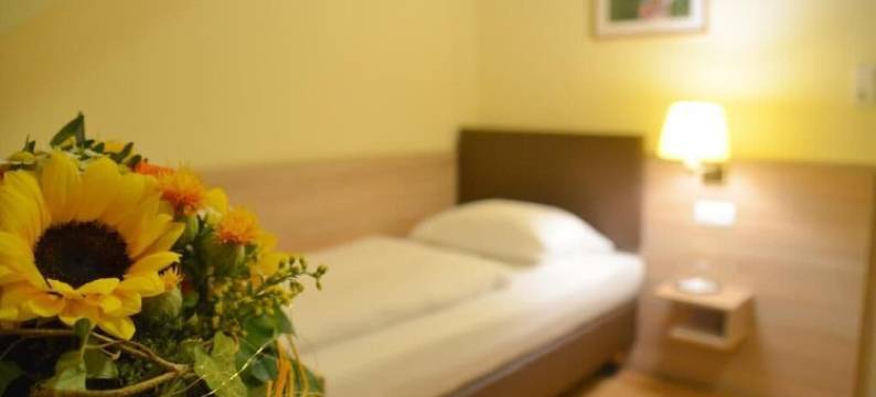 基斯莱夫别墅酒店(Hotel Villa Kisseleff)图片