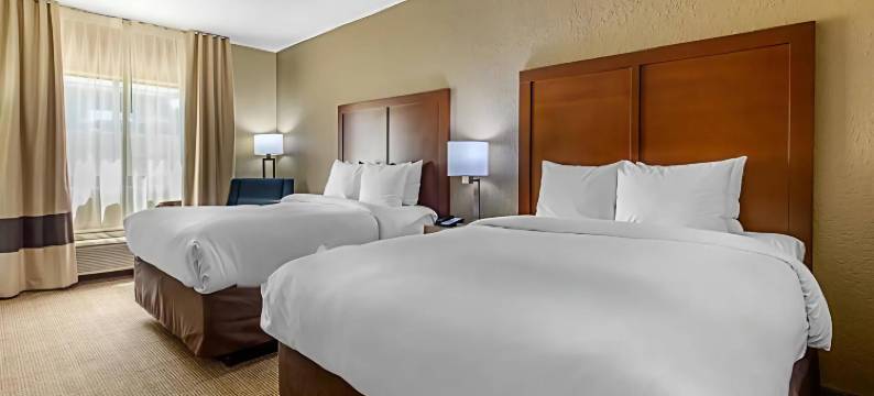 舒适套房酒店(Comfort Inn & Suites)图片