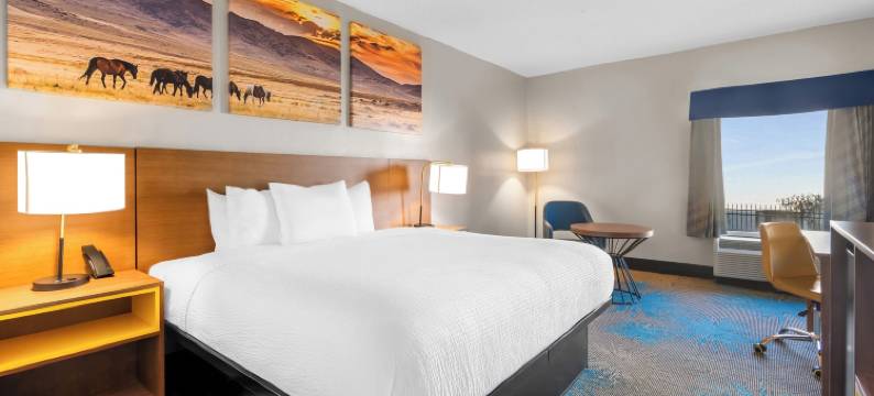 理奇兰戴斯套房酒店(Days Inn & Suites by Wyndham Ridgeland)图片