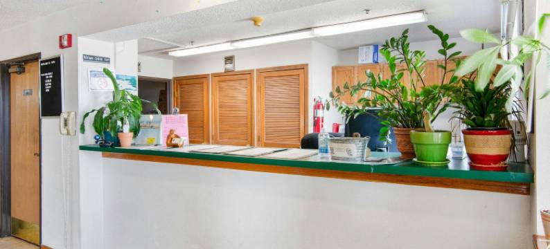 OYO  I-94波蒂奇酒店(OYO Hotel Portage I-94)图片