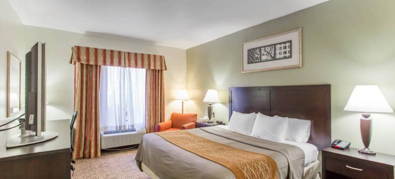 富兰克林 96 号高速公路舒适酒店(Comfort Inn Franklin Highway 96)图片