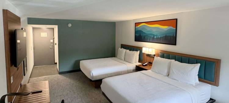 加特林堡市中心温德姆豪生酒店(Howard Johnson by Wyndham Downtown Gatlinburg)图片