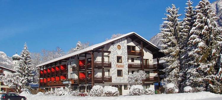 布雷纳巴什特酒店(Alpenhotel Brennerbascht)图片