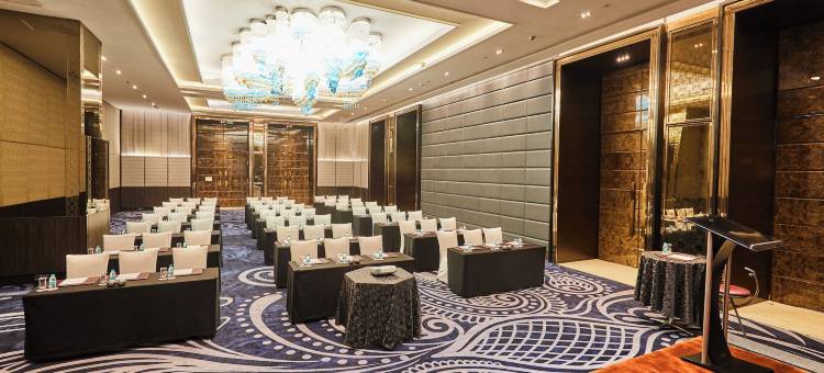 Crowne Plaza 新德里罗希尼(Crowne Plaza NEW DELHI ROHINI by IHG)图片