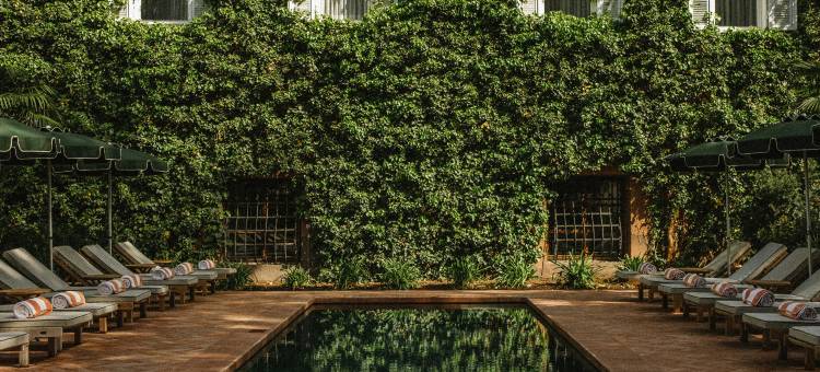 蒙德施恩公园酒店-Design Hotels旗下(Parkhotel Mondschein, a Member of Design Hotels)图片