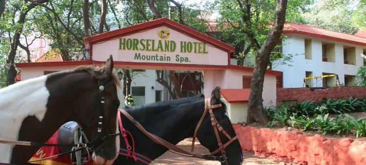 跑马山泉水疗酒店(Horseland Hotel and Mountain Spa)图片