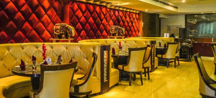 Clarion Inn Amps Patiala图片