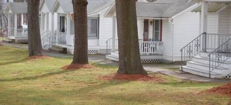 麦耶汽车旅馆(Myer Country Motel)图片