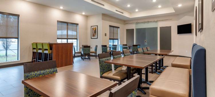 舒适套房酒店(Comfort Suites)图片