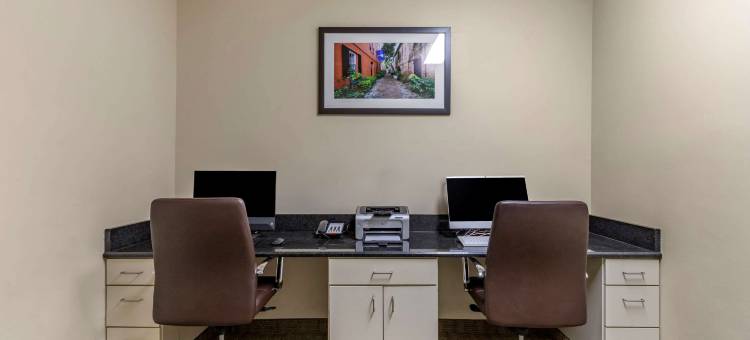 舒适套房酒店(Comfort Inn & Suites)图片