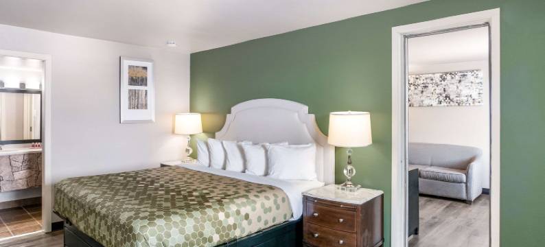 尼纳-阿普尔顿郊区开间(Suburban Studios Neenah-Appleton)图片