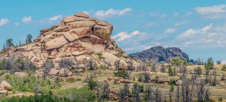 拉勒米温德姆速8酒店(Super 8 by Wyndham Laramie)图片