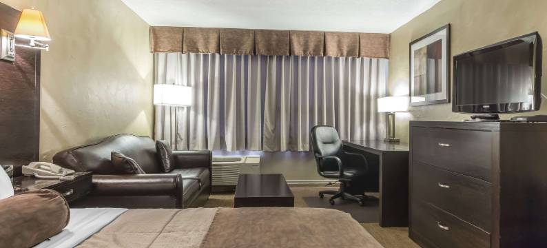 会议中心品质酒店(Quality Hotel & Conference Centre)图片