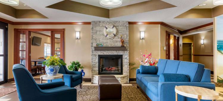舒适套房酒店-史蒂文斯维尔圣约瑟夫(Comfort Suites Stevensville - St Joseph)图片