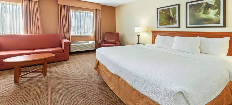 坦帕布兰顿西拉昆塔温德姆套房酒店(La Quinta Inn & Suites by Wyndham Tampa Brandon West)图片