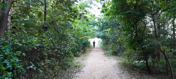 罗斯曼套房酒店(The Roseman Hotel and Suites)图片