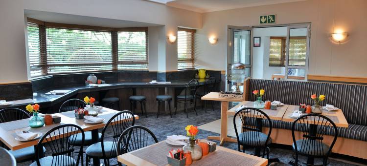 Road Lodge - 利弗尼亚(Road Lodge Rivonia)图片