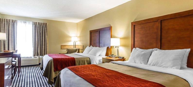 瓦通纳近医学中心舒适酒店(Comfort Inn Owatonna Near Medical Center)图片