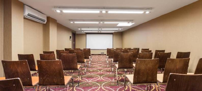 波兹南德席尔瓦高级酒店(Hotel DeSilva Premium Poznań)图片