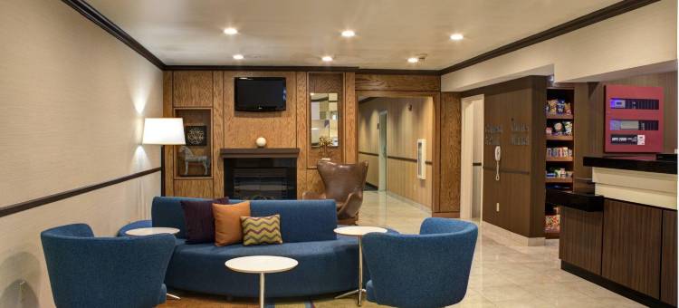 北达拉斯艾迪逊舒适套房酒店(Comfort Inn & Suites North Dallas-Addison)图片