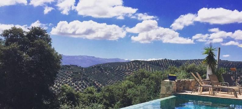 科尔蒂霍拉哈扎住宿加早餐旅馆(Cortijo la Haza)图片