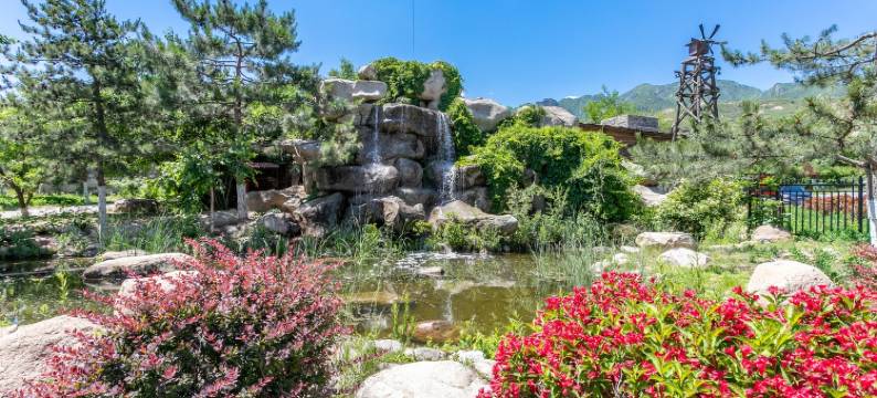 栖心山居特色民宿(古龙路分店)图片