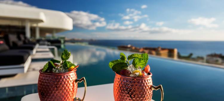 皇家藏身处珊瑚套房 - 巴塞罗酒店集团(Royal Hideaway Corales Suites)图片