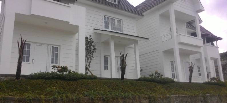 阿玛兰塔旅馆(Amaranta Guest House)图片