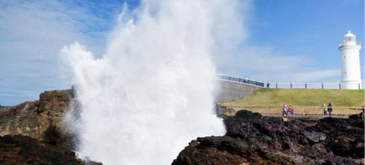 Kiama Palms on Terralong图片