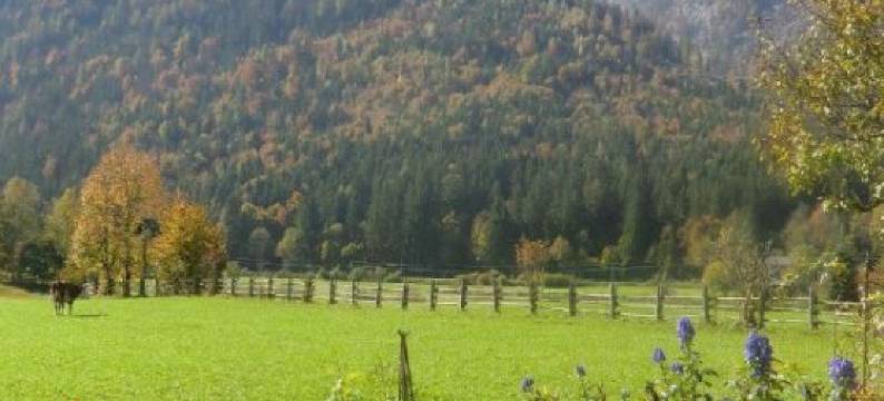 霍恩瓦尔特酒店(Haus Hohenwarter)图片